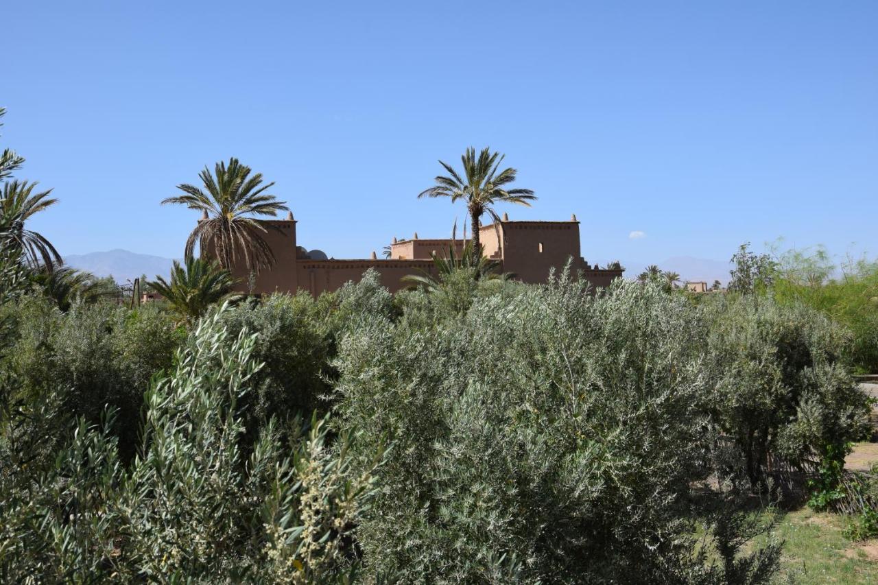 Kasbah 123 Soleil Hotel Skoura Exterior foto